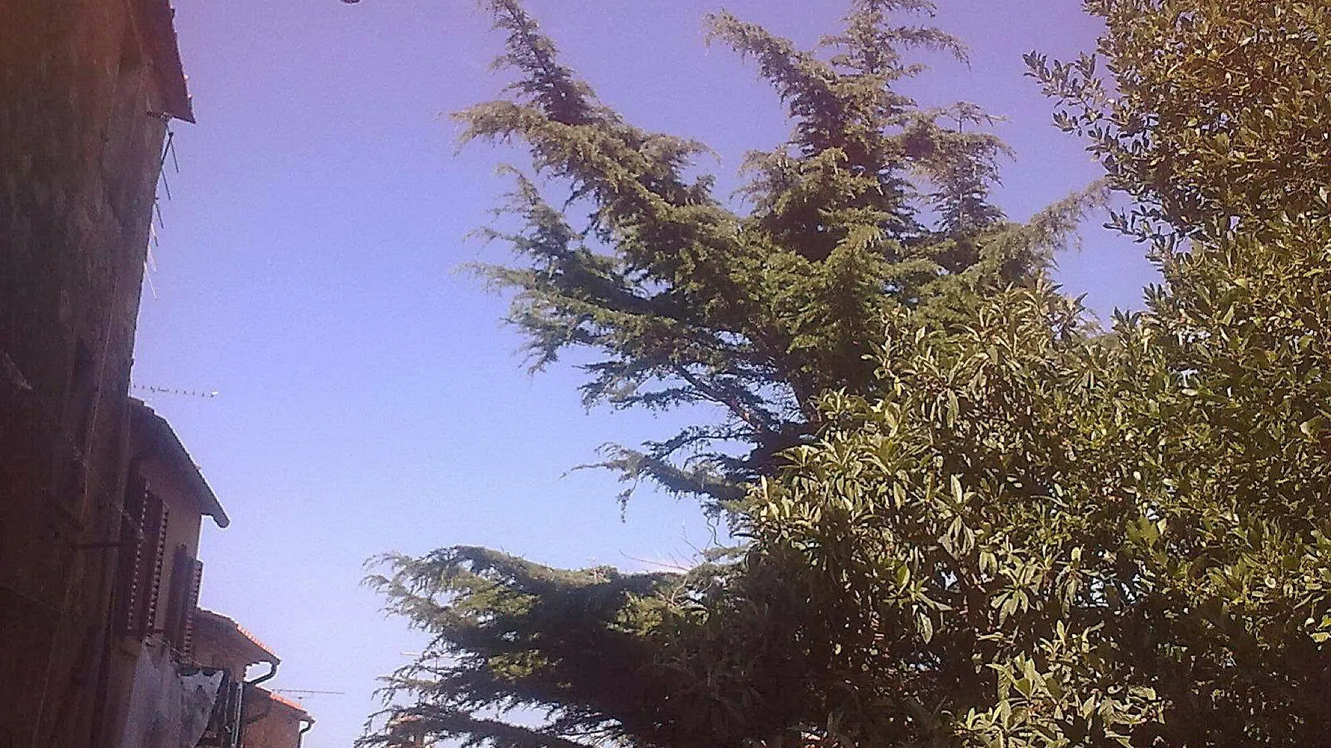 Locanda Etrusca Bibbona 3*,
