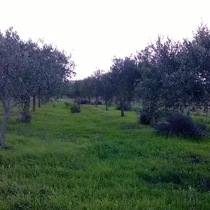 Sa Mitza Villamassargia